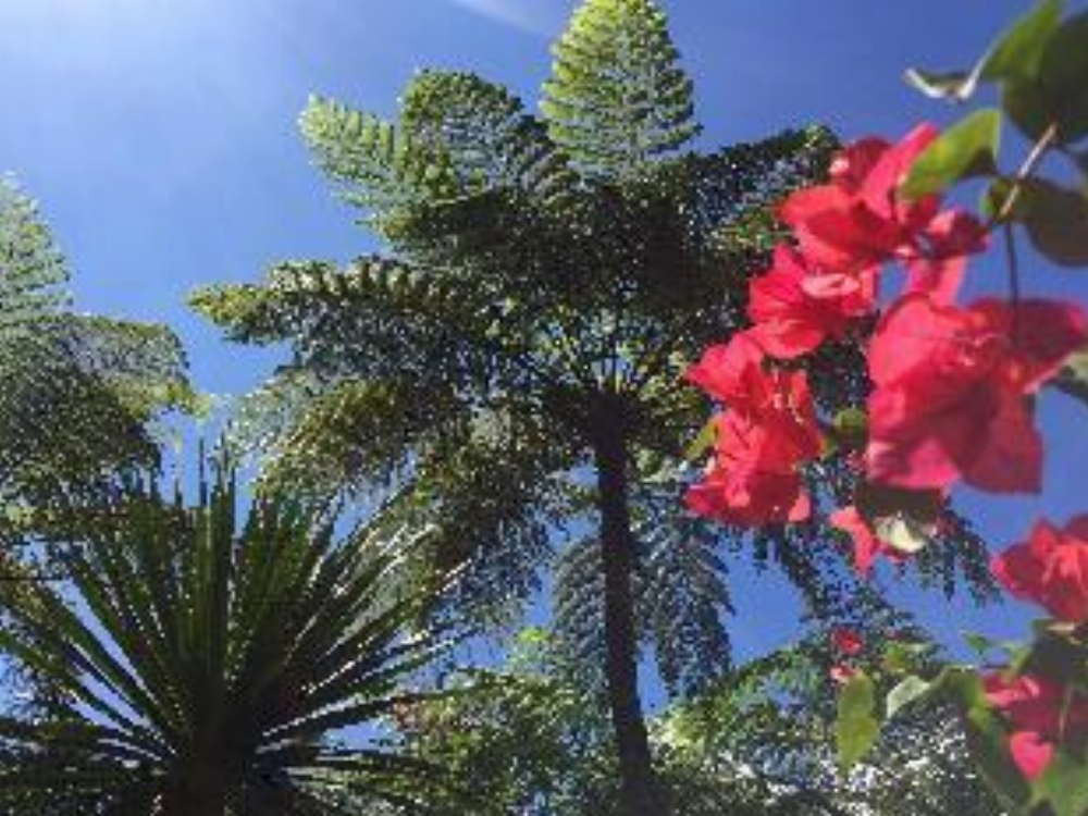 Bali Mountain Retreat Image 13