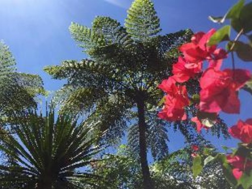 Bali Mountain Retreat image 13