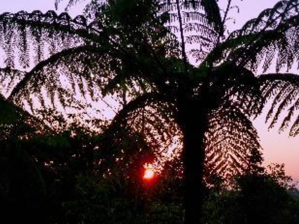 Bali Mountain Retreat Image 15