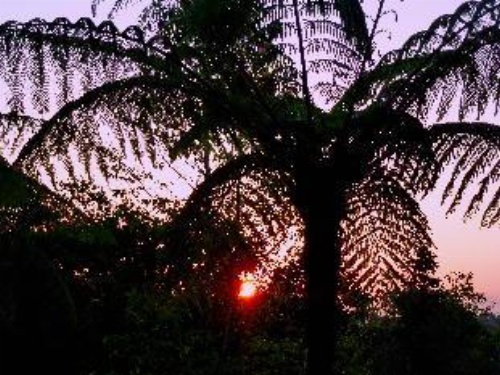 Bali Mountain Retreat image 15