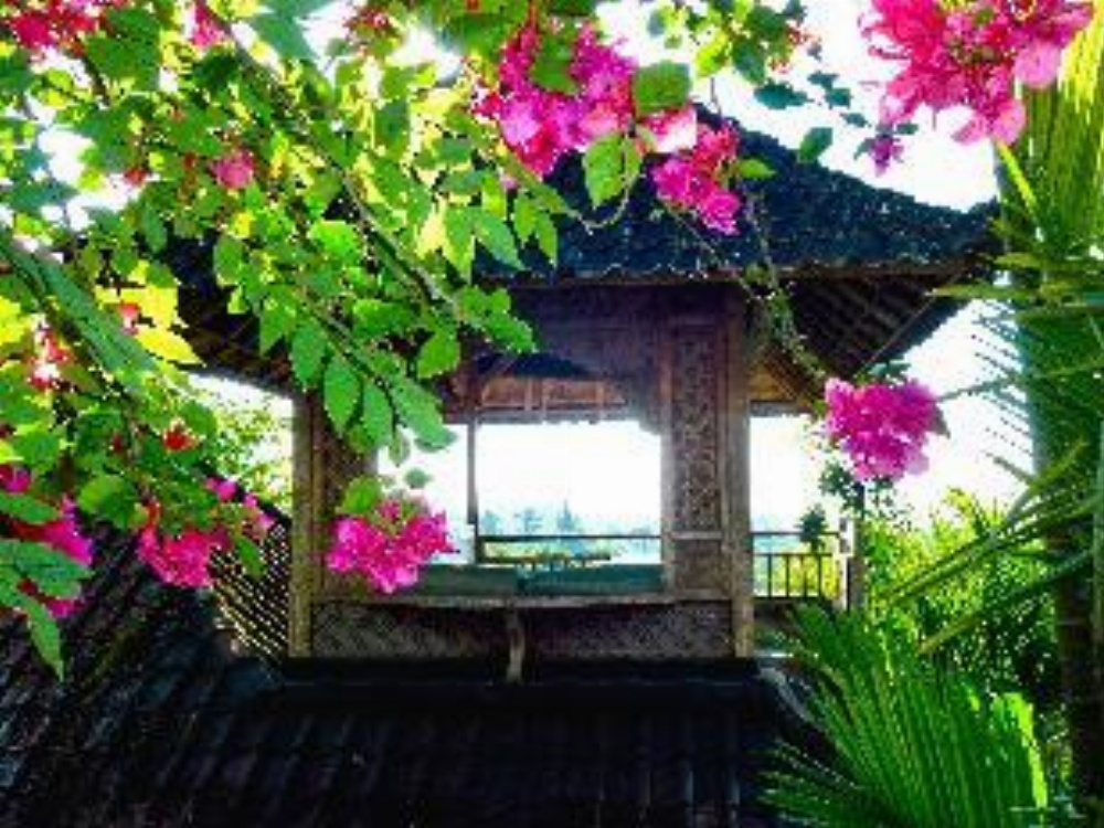 Bali Mountain Retreat Image 18