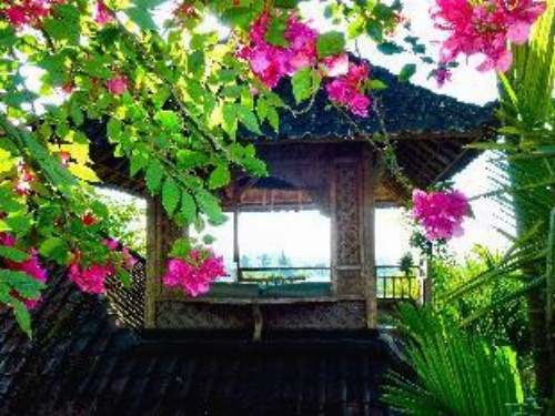 Bali Mountain Retreat image 18