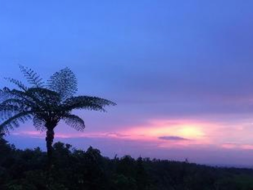 Bali Mountain Retreat Image 20