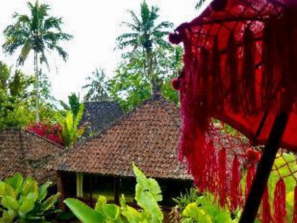 Bali Mountain Retreat Image 22