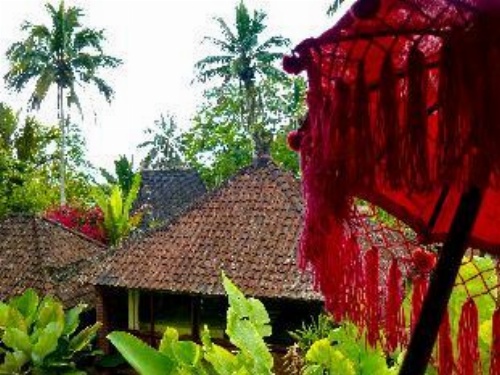 Bali Mountain Retreat image 22