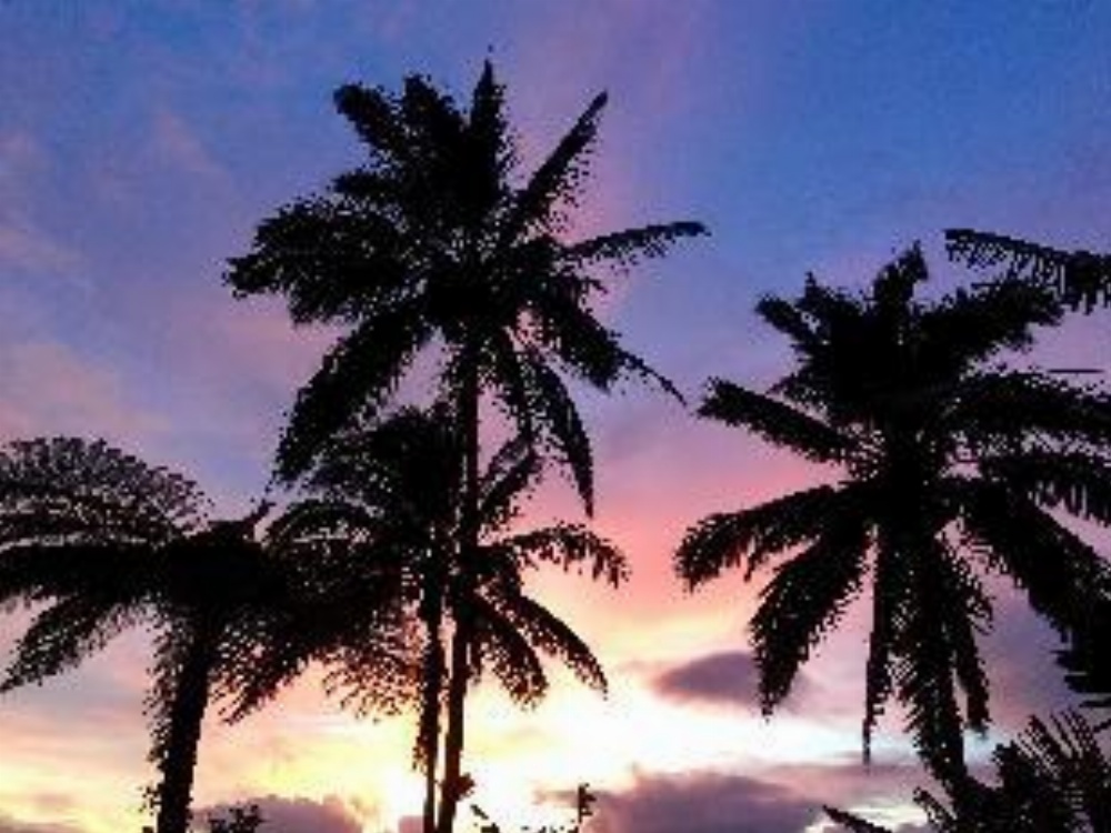 Bali Mountain Retreat Image 7