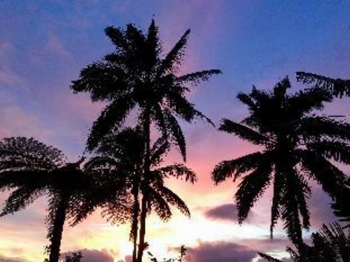 Bali Mountain Retreat image 7