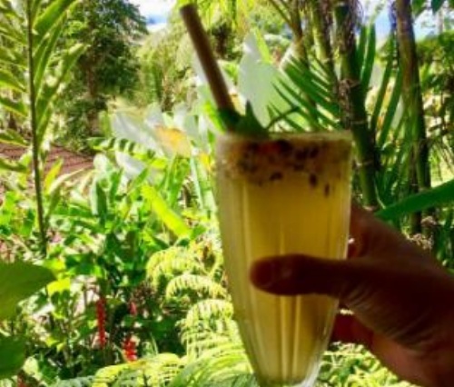 Bali Mountain Retreat image 8