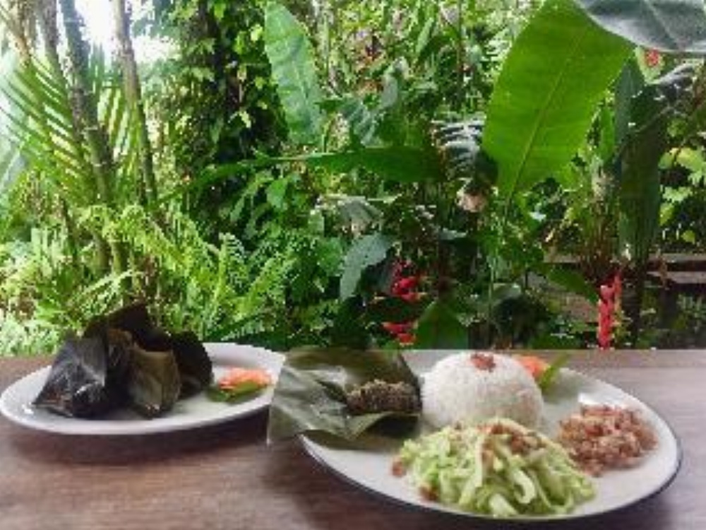 Bali Mountain Retreat