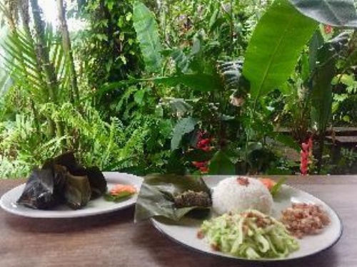 Bali Mountain Retreat image 9